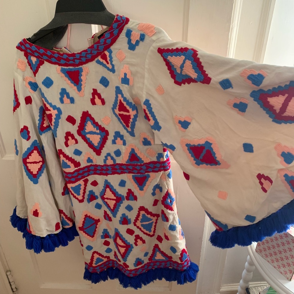 Mochi Embroidered dress